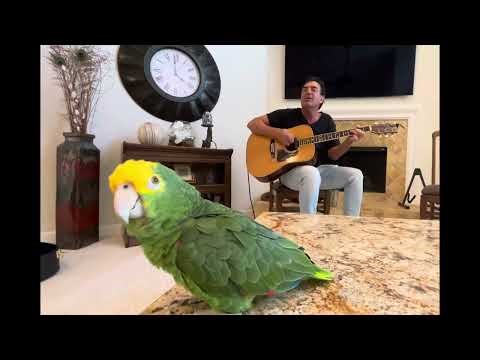 Encore (feat Rob Robinson)