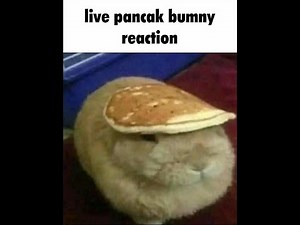 Lego Batman 1 With Corn Doggo