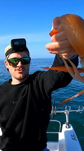Angry arrow squid! 🦑😤 Bait or food?! Loved the INKU Glow Orange squid jig — they can turn around and bite back! 💥🎣 - @inkusquidtackle #squidfishing #arrowsquid #squidjig #squid #fishinglife | Inku Squid Tackle