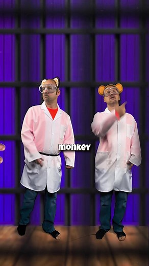 Science Experiment with Monkeys in a Cage
