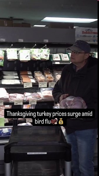 PA farmers battle bird flu, causing rising costs on Thanksgiving turkeys
