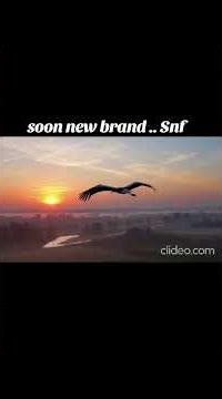 brand storks never fall snf