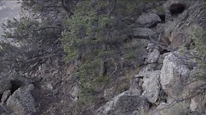 Realtree Edge Camo Pattern TV Spot, 'Everywhere'