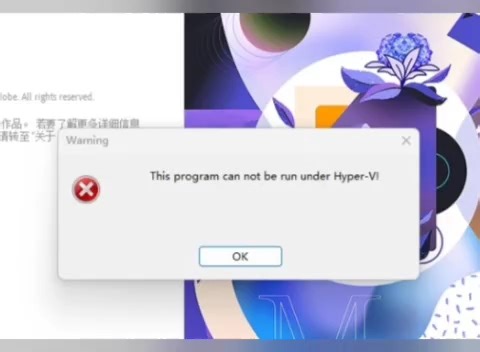 this program can not be run under Hyper-V