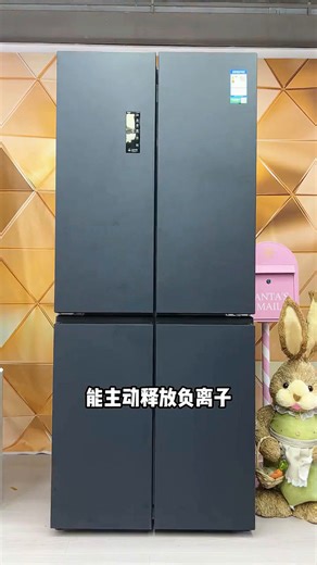 冲全家人的食材管家容声516十字门冰箱