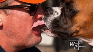 If your a dog owner you must watch this, I filmed dogs licking their owners in 4K slow motion, this wasnt even the best clip, full episode on YT soon. something so simple and common looks stomach turning in 4k slow motion, very unexpected results. | Warped