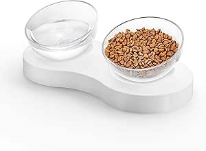 Double Raised Pet Bowls, Tilted Elevated Design, No Slip Food Water Feeder for Cats and Dogs