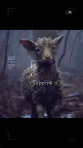 Dejo las 99 y fue por mi