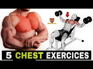 5 BEST CHEST EXERCISES WITH DUMBELLS ONLY / MUSCULATION BAS DES PECS