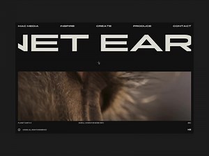 Portfolio - Awwwards