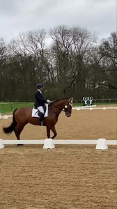 *** ALFRED THE WINNER….72.6%!! *** Today we headed to wonderful Wellington for Alfred to do a couple of Prelims. At the moment, my aim with Alf is to get him to start relaxing in warm up arenas. He panics badly whenever another horse comes close to him, and then leaps into the air and starts bucking. Not ideal in a warm up. Today, he was AWESOME in the warm up; I honestly couldn’t believe how sensible and calm he was! We had one leap/buck in our entire two warm ups today, which is such an incred