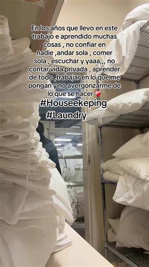 Housekeeper Tips for a Clean Home