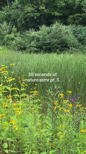 take me back to summer 🌊 #fyp #asmr #asmrsounds #lowfiasmr