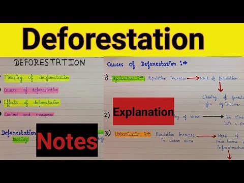 what is deforestation and its causes | deforestation causes and effects | deforestation | Ecosystem