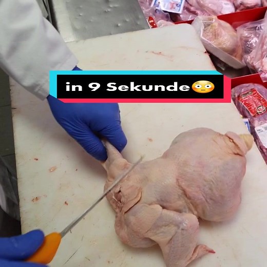 How to Dissect a Chicken: Step-by-Step Guide
