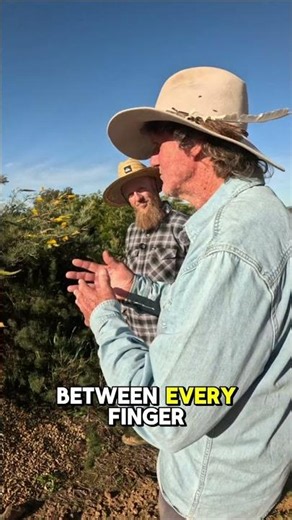 Vaughan's Australian Plants: Your Ultimate Guide to Rare Native Treasures!