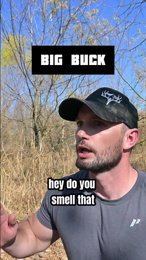 The ole Tinks 69 😂 #deerhunting