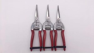 Stainless Steel Garden Pruning Scissors Shears Pruner Snip Trimming Tool for Gardening Plant Flower Grape Scissor