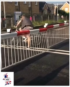 250K views · 973 reactions | Todays time hop dug this one out of our...