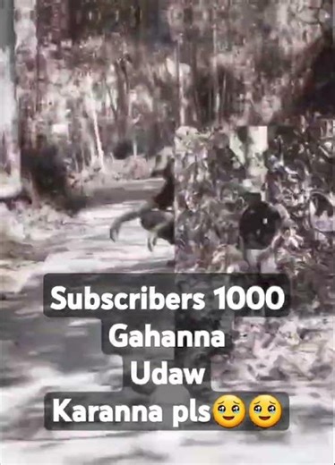 💀💀💀💀☠️☠️