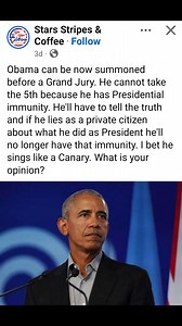 OBAMA COMMITTED TREASON AS REPORTED | Teens for America First