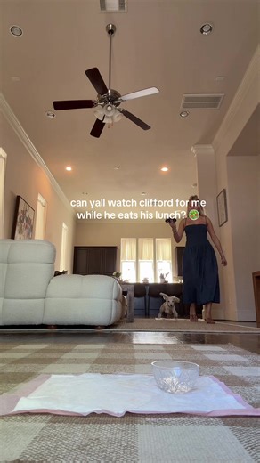 Clifford Enjoys Sushi for Lunch