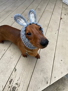 Crochet Pattern #083 - Bunny Snood, Dog Ear Warmer, Rabbit Dog Hood - Pdf Tutorial - Etsy