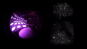 2.8K views · 39 reactions | The study reveals where memory fragments are stored in the brain. Individual details are parsed and stored in the prefrontal cortex, which accesses the hippocampus for information on the overall memory. | 1440 | Facebook