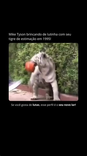 Portal Fight | Conteúdos do Mundo da Luta | Siga @portalfight_oficial, e receba conteúdos diários sobre o mundo das lutas! Em 1995, Mike Tyson, ainda no auge de sua carreira, chamou... | Instagram