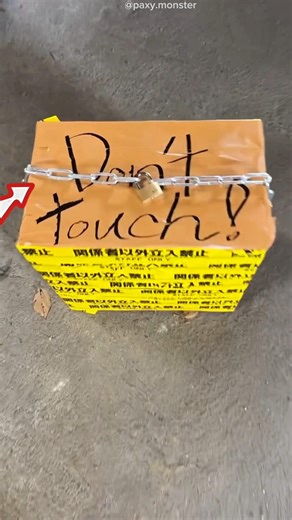 What Was Inside the “Don’t Touch” Box? 😳 #shortvideo