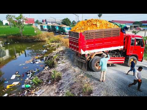 First Start Opening​ Amazing Project!! Landfill Delete Dirty Flood By Skills Dozer Pushing Soil
