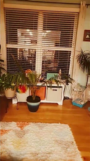 Loop #lofi #music #beats #pokemon #loop