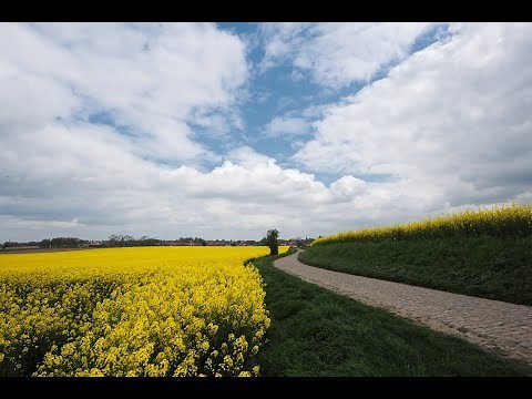 The magic of Paris-Roubaix