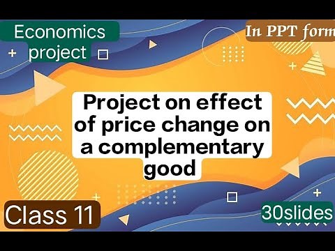 Project on effect of price change on a complementary good for class 11| Economics Project class 11|