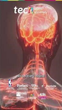 Adipose tissue in aesthetic medicine: functions and risks ❘ TECH Global University