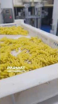Factory Tour of Pasta Extruder & Production Line: Pasta Making Machine Secrets Revealed!
