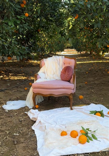 Today’s #photoshoot was dreamy as usual in this location. Never gets old. I prob model here 7-8x a year because it’s just that good! Next time I’ll bring fabric to hang from each side of the trees… #creativedirector #modeling #nature #models