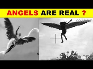 Secrets to fairies? Do fairies really exist? Secrets to fairies? Do fairies really exist?