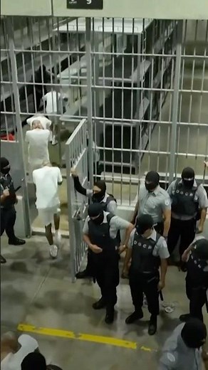 Trump Deports Hundreds to El Salvador Under Alien Enemies Act