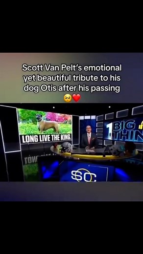 Beautiful tribute by Scott Van Pelt to his best friend Otis who passed away 🐶🕊️🌈😿 #doglover #rainbowbridge #ScottVanPelt | Sheniq Videos