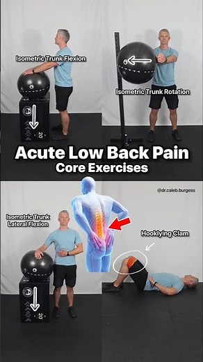Acute Low Back Pain - Core Exercises - Back Pain Relief