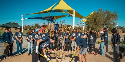 Check your Las Vegas ZIP Code: You may qualify for a free tree