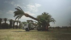 28K views · 516 reactions | This Tree Mover Is Really Great | Smartphones & Tech | Facebook
