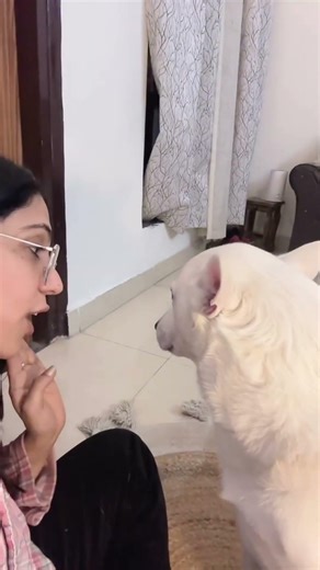 “When Banni Dog’s Ex Girlfriend Left Him 🐶💔 Then He Started Singing in His Own Language 😂”