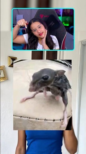 Angi will make Pelo en Pausa cry with this 😱 #shorts #freefire