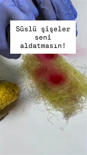 Hanım Özgür on Instagram: "Safran alırken şuna bak 👇 1️⃣ ŞEKLİ ✔️ İplik gibidir ✔️ Uçları trompet şeklinde olur ❌ Düz kesilmiş, lif lif olmaz 2️⃣ RENGİ ✔️ Koyu kırmızı ✔️ Uçları hafif turuncu ❌ Tamamen parlak kırmızıysa şüpheli 3️⃣ SU TESTİ ✔️ Suda yavaş yavaş sarı renk verir ❌ Anında kırmızı boya salıyorsa → sahte 4️⃣ KOKUSU ✔️ Balımsı, hafif çimenimsi ❌ Kokusuz ya da boya gibi olmamalı 5️⃣ FİYATI ✔️ Gramla satılır ❌ Ucuz OLAMAZ 📌 Gerçek safran süslenmez, kendini belli eder. Bunu kaydet, safr