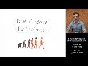 DNA Evidence for Evolution
