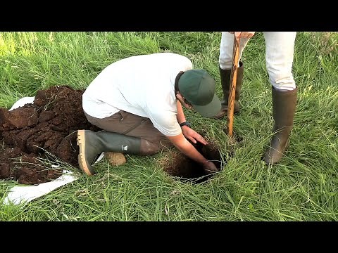 3. Field Methods I: The Shallow Pit