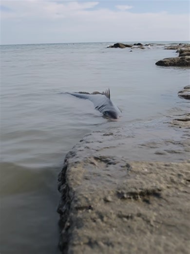 6-41 a.m. Rocky coastline, North Sea, Scotland.… See more