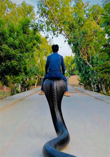 Naag Banane ka time aagya 😱😱😱 #foryou #foryoupage #wolf #aivideo #unfreezemyacount @King_Raja_Chachar 🦁 @M Ismail Dayo 💫